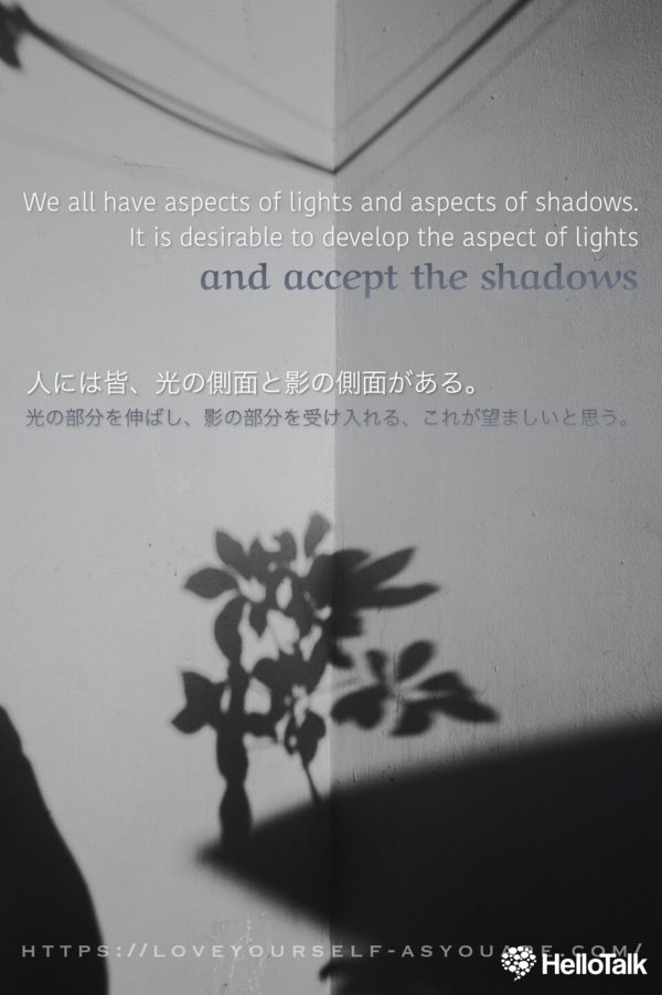 shadows and lights